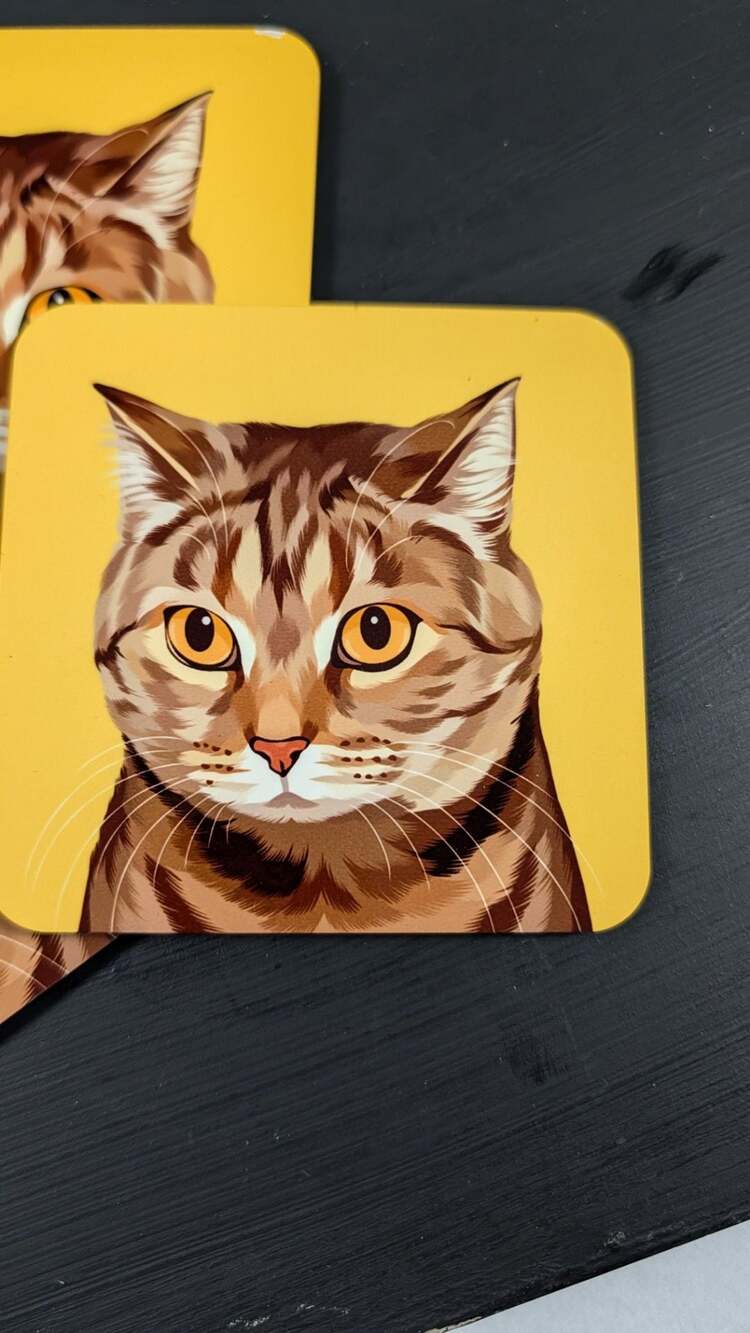 Grey/Brown Tabby Cat Coaster Set